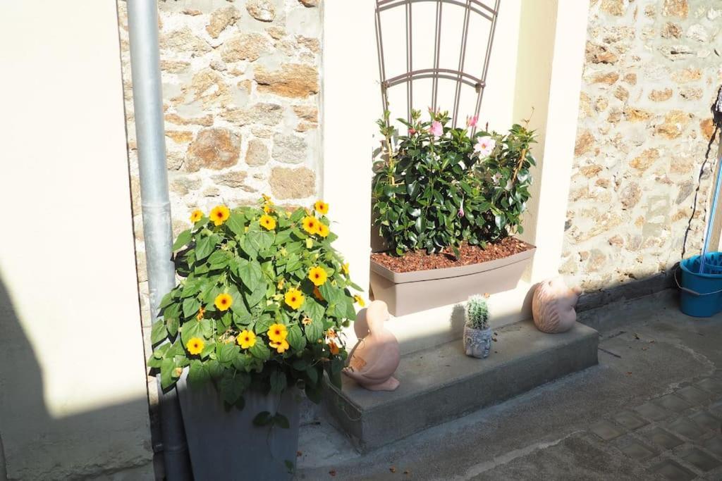 Appartement Duplex Et Terrasse A St Servan-St Malo Сен-Мало Экстерьер фото